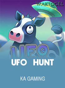 UFO Hunt